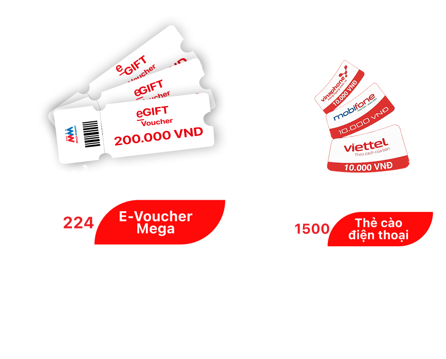 Hệ thống siêu thị Mega Market